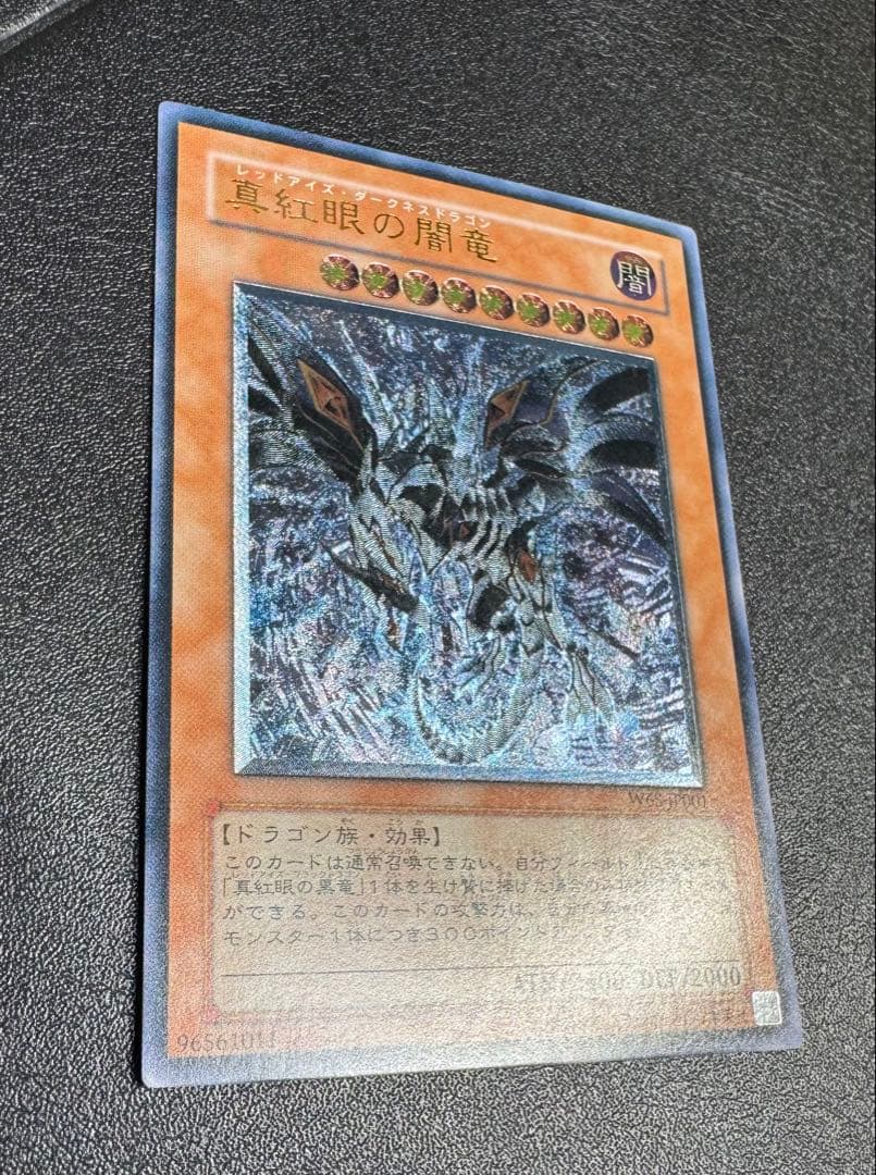 真紅眼の闇竜/レッドアイズダークネスドラゴン/ ドラゴン族/遊戯王/レリーフ