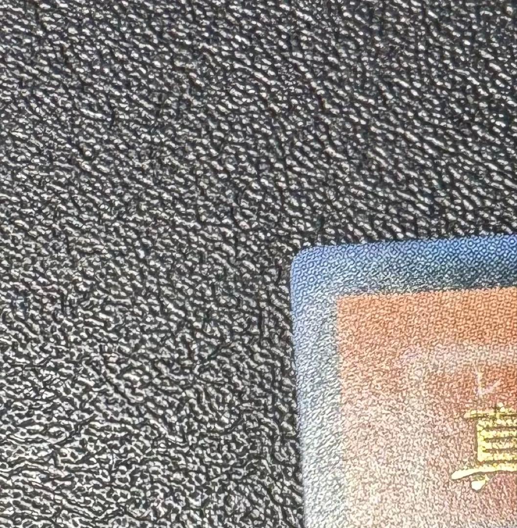 真紅眼の闇竜/レッドアイズダークネスドラゴン/ ドラゴン族/遊戯王/レリーフ