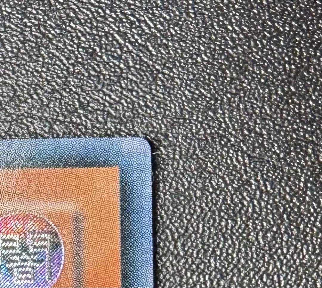 真紅眼の闇竜/レッドアイズダークネスドラゴン/ ドラゴン族/遊戯王/レリーフ