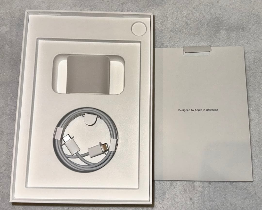 iPad mini6 Wi-Fi 64GB スペースグレイ＋付属品