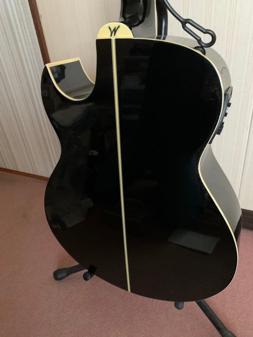 washburn/ワッシャバーン エレアコ ヌーノベッテンコート