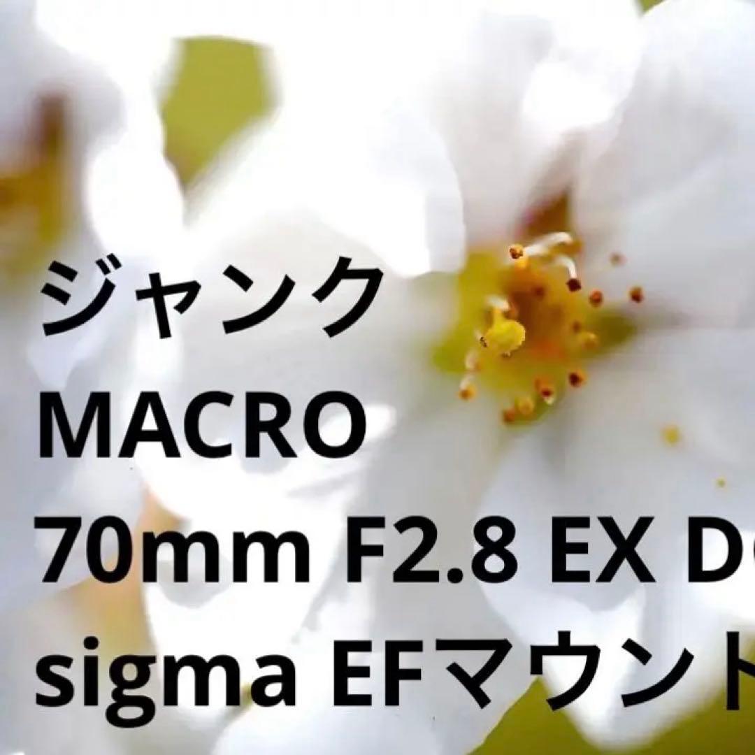 ジャンク MACRO 70mm F2.8 EX DG