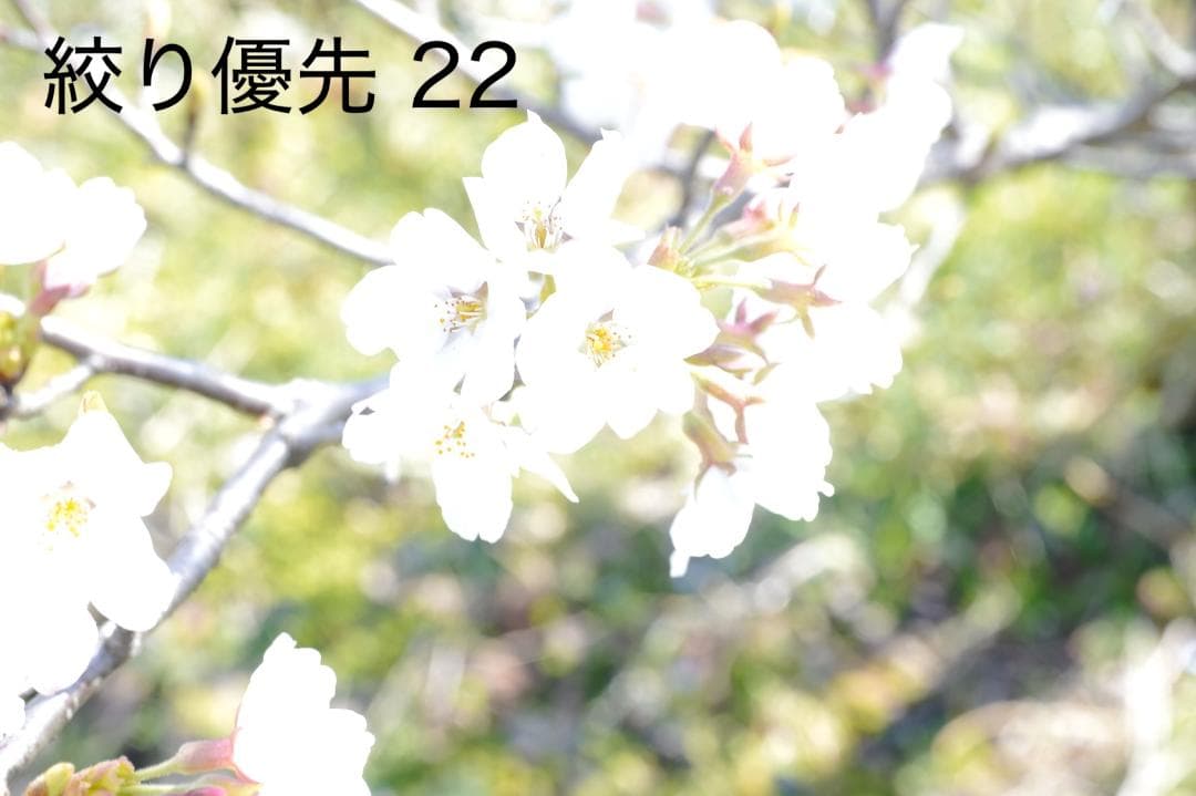 ジャンク MACRO 70mm F2.8 EX DG