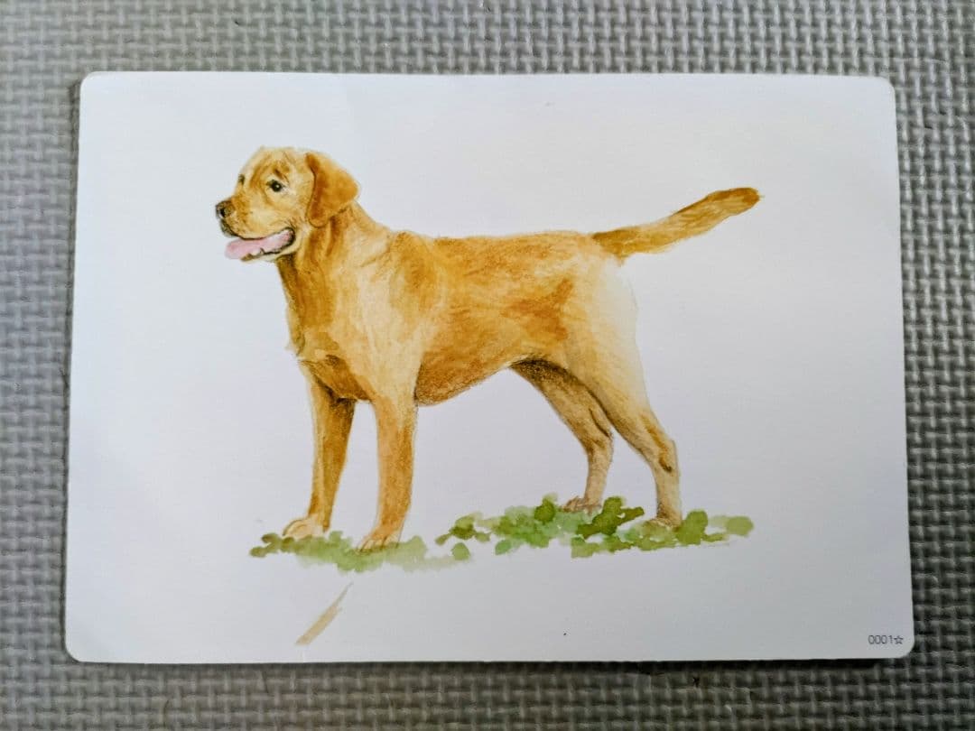 七田式　かな絵ちゃん AB 1200枚　フラッシュ名人付き