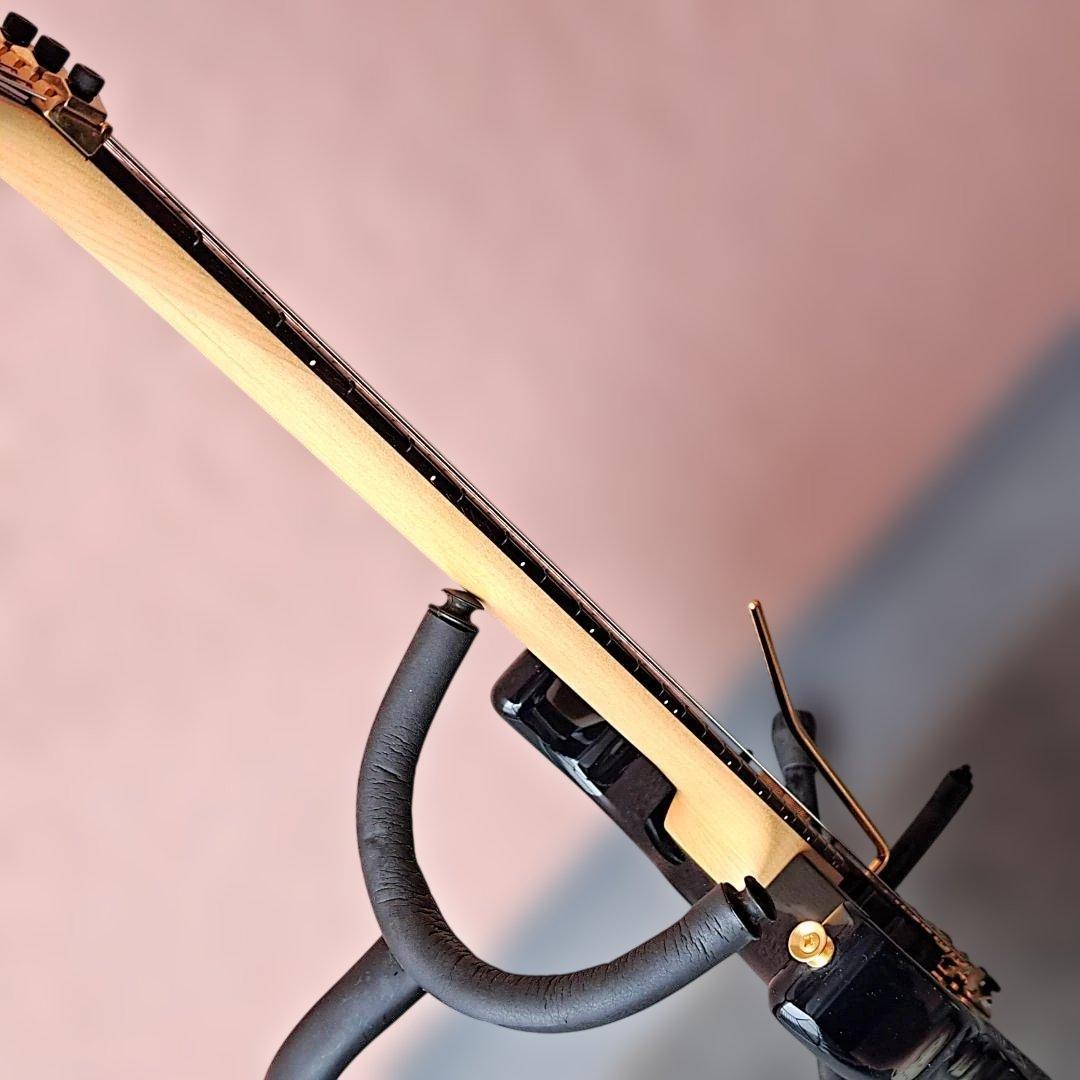 ■FERNANDES APG 85S 美品 SUSTAINER サスティナー