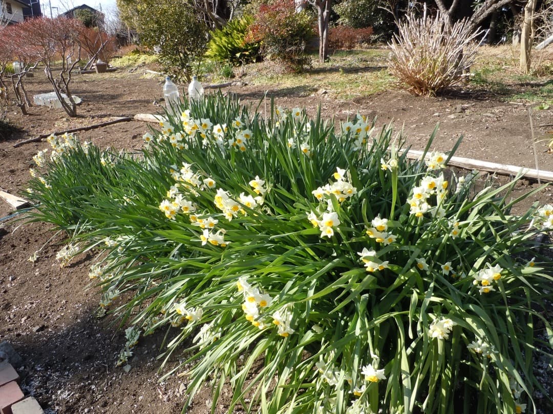 実写美⭕️新品同様【動作確認済み】Nikon COOLPIX S6000