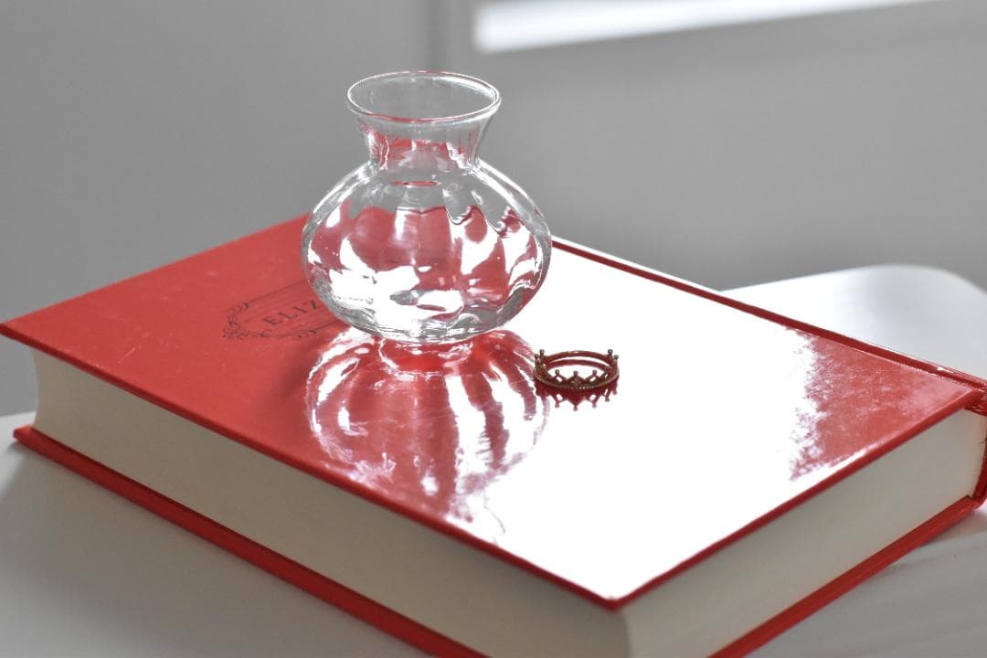 Nikon F2 ダブルレンズ