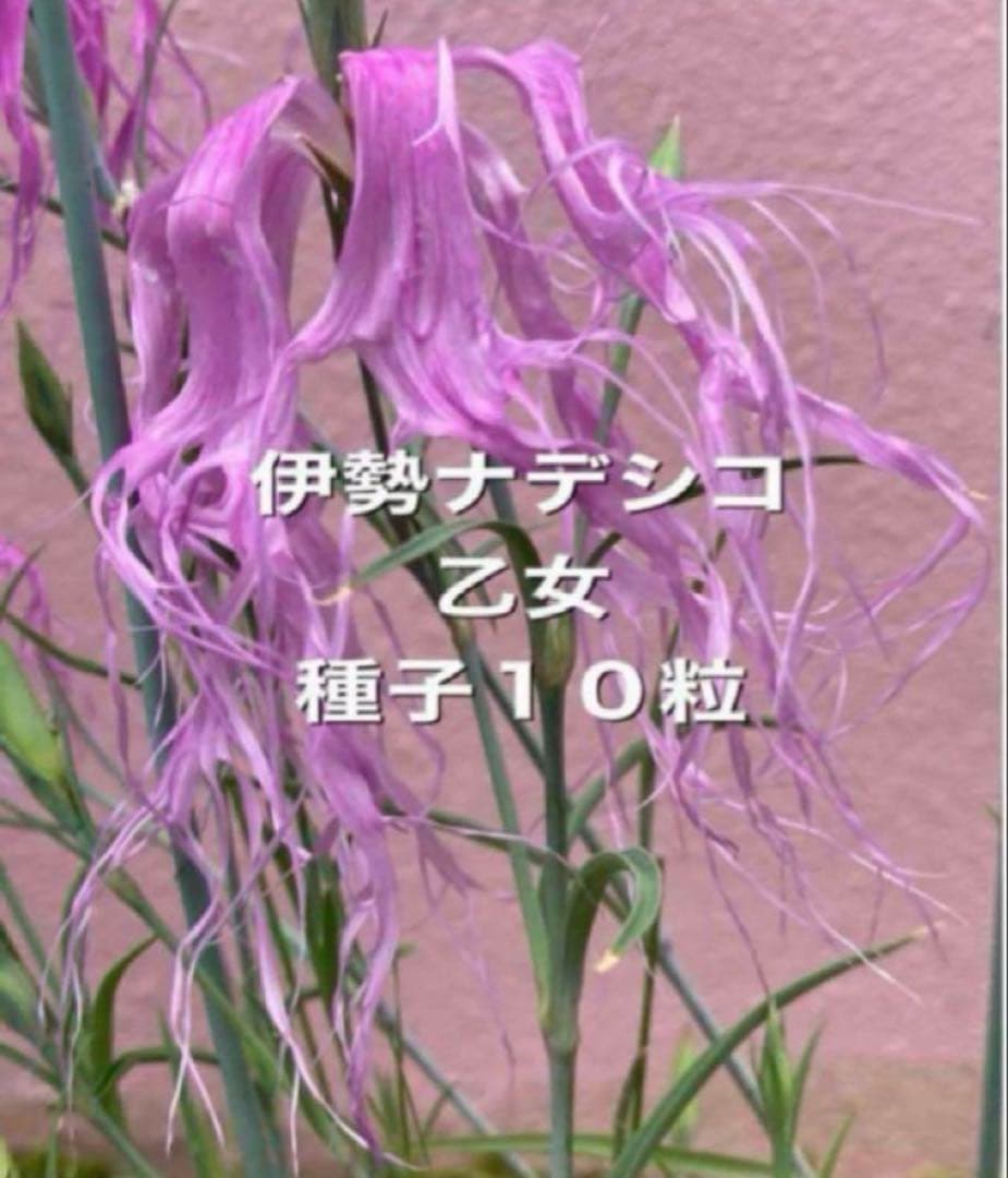 ミカミカ様 リクエスト 5点 まとめ商品