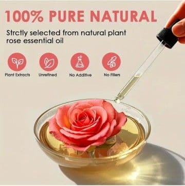 animagaga(プロフ必読)