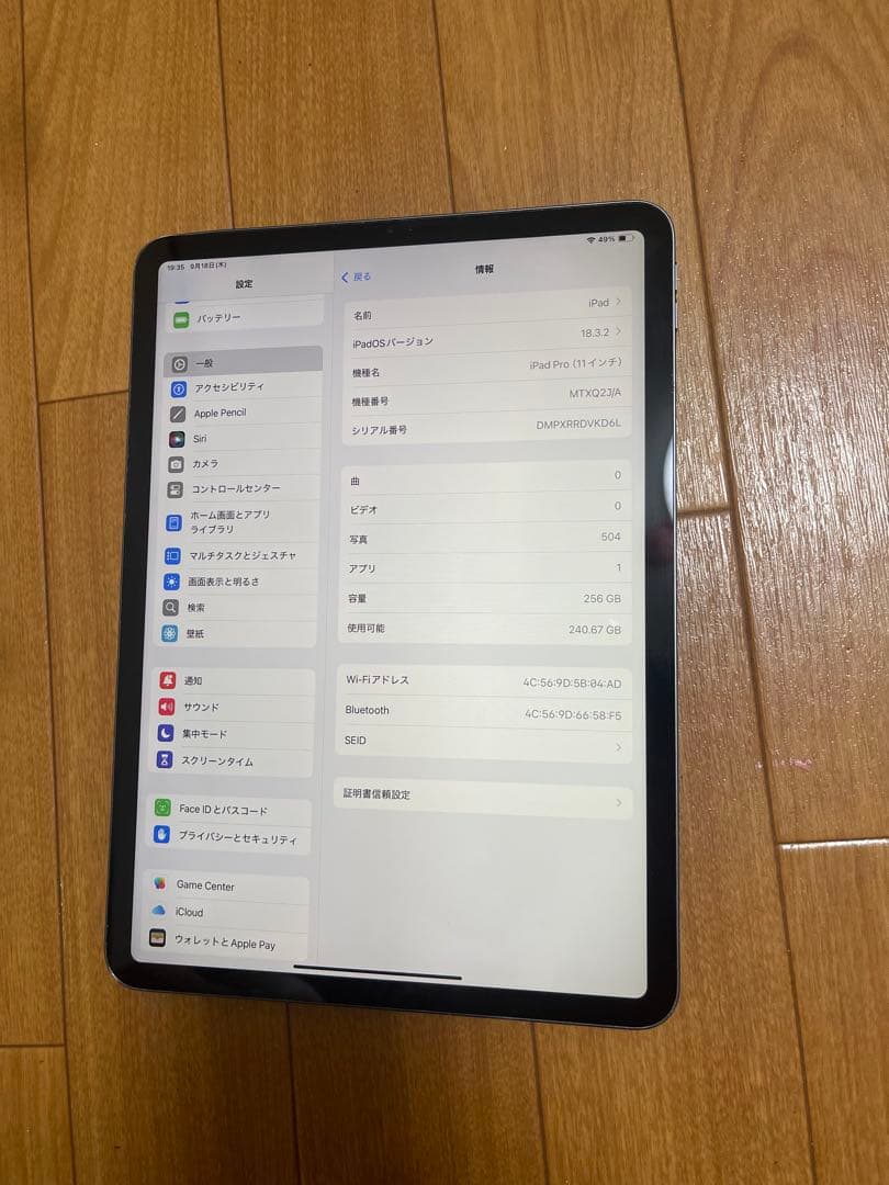 Ipad pro 11インチ第1世代256GB