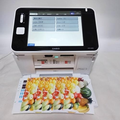 印刷確認済 CASIO 年賀状プリンター プリン写ル PCP-2500 インク付