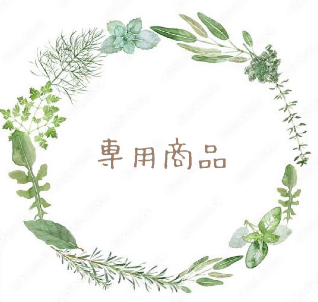 専用ページ Parika Visionary+Munay Cura 各3g