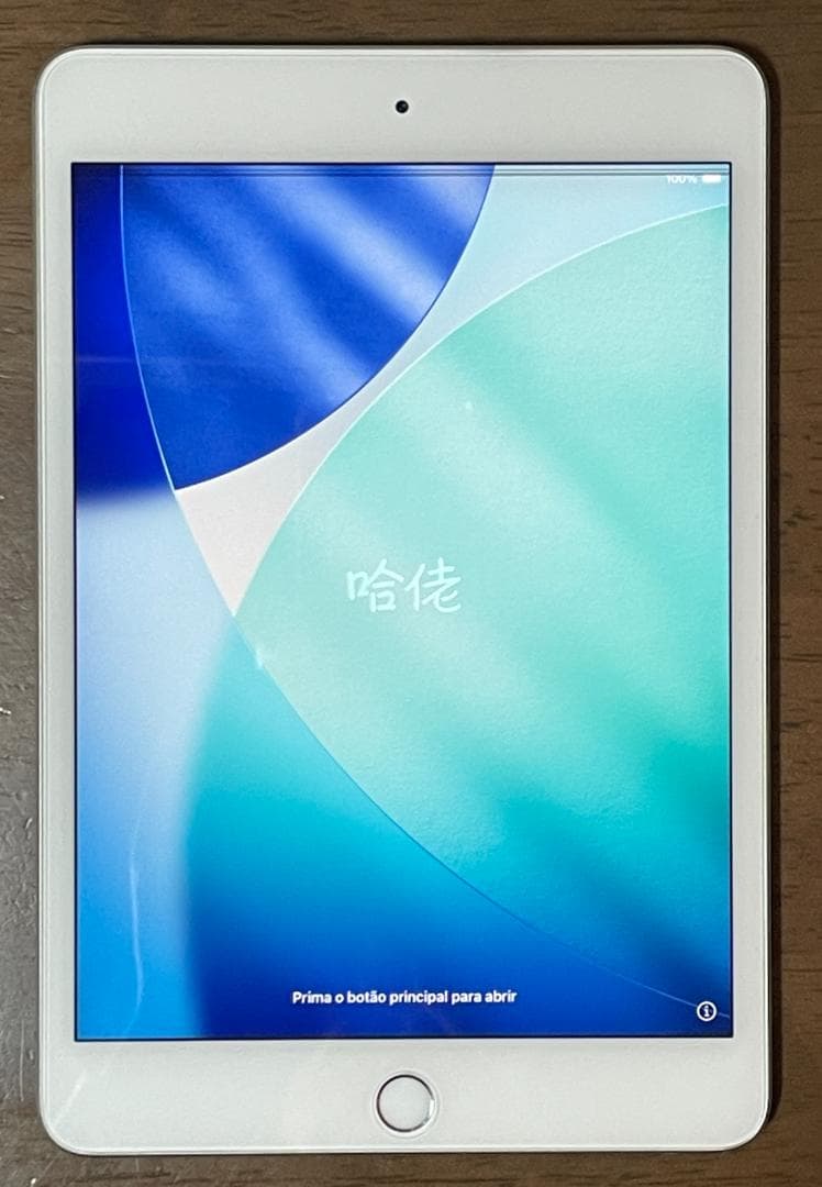 iPad mini 第5世代 256GB Wi-Fi （液晶ドット抜け有）