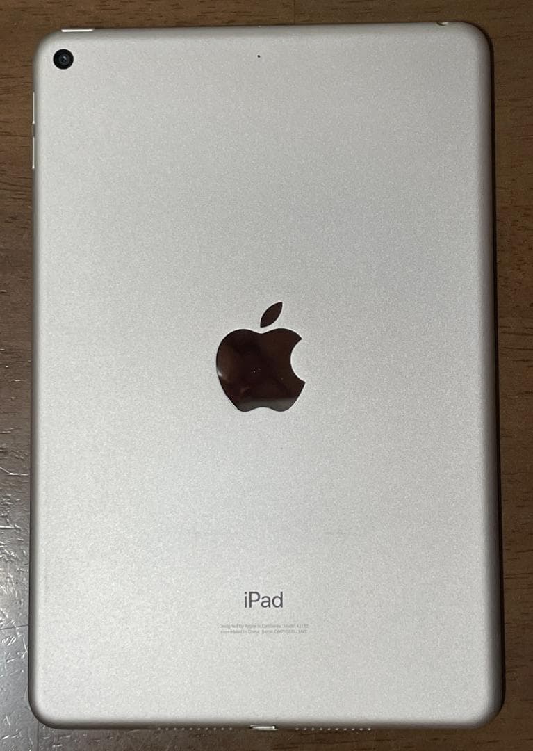 iPad mini 第5世代 256GB Wi-Fi （液晶ドット抜け有）