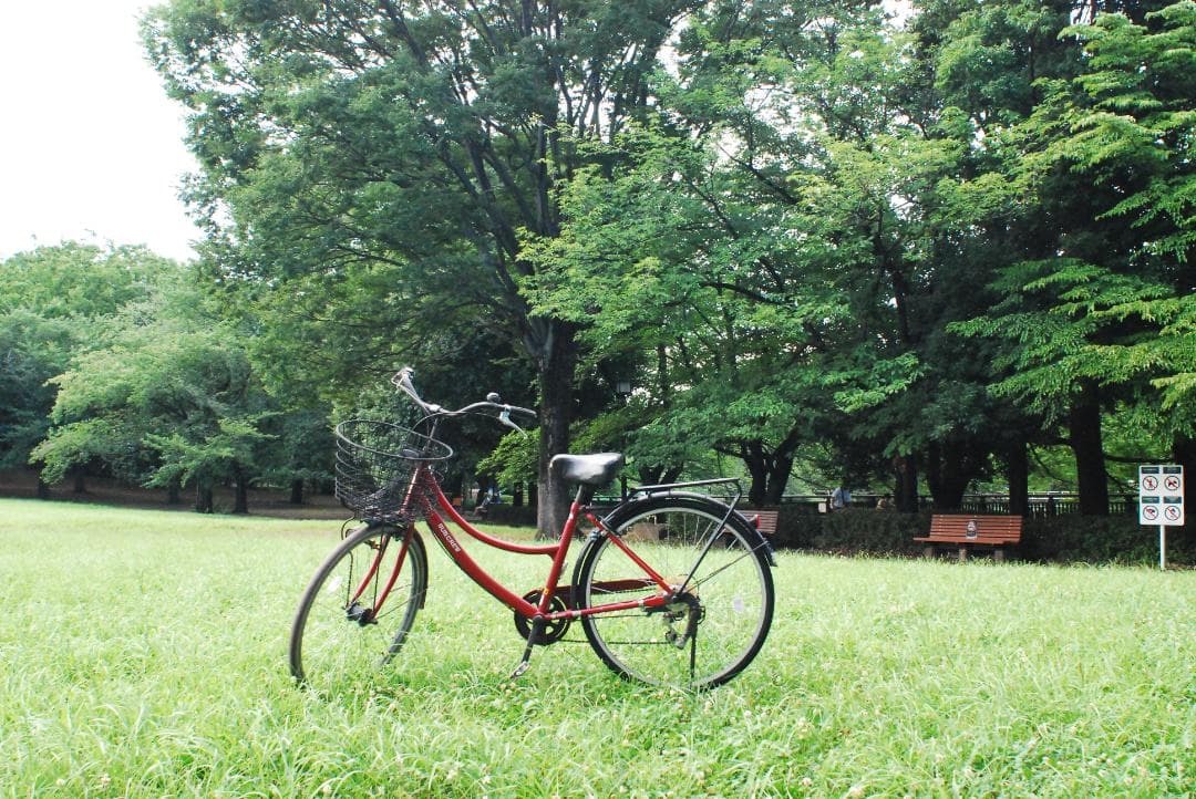 ニコン Nikon Ai-s Nikkor24mm f2.8