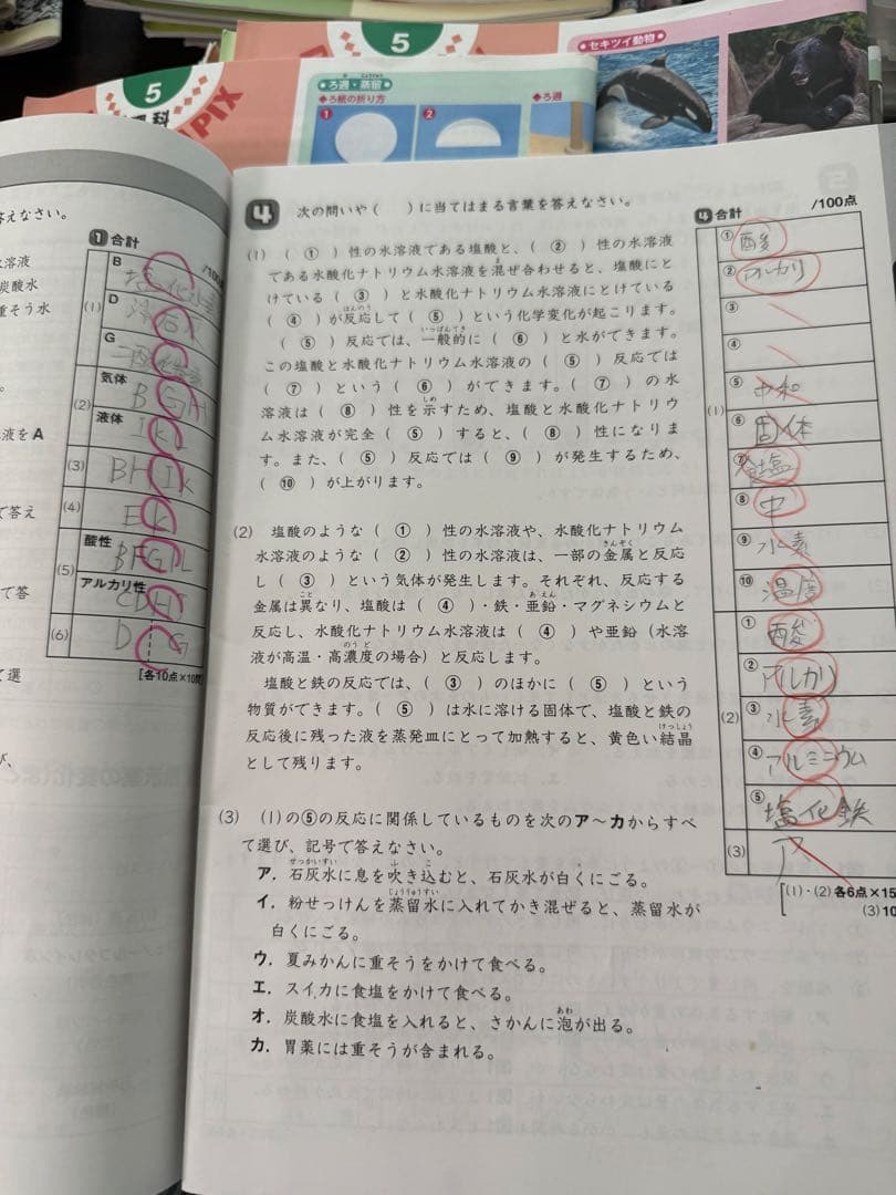 サピックスsapix5年　理科と社会　フルセット98冊　2022年版　一部未記入