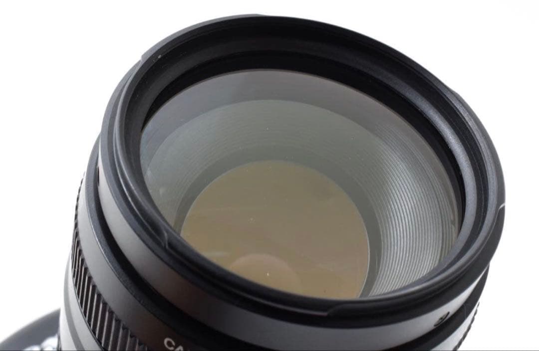 デジタルカメラ Canon EOS 6D Mark II / Canon EF75-300mm