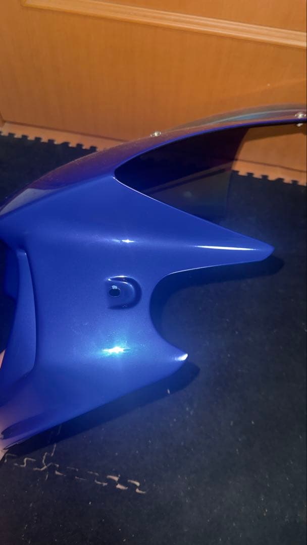 希少 ホーネット FORCE-Dエンデュランスバージョン ビキニカウル