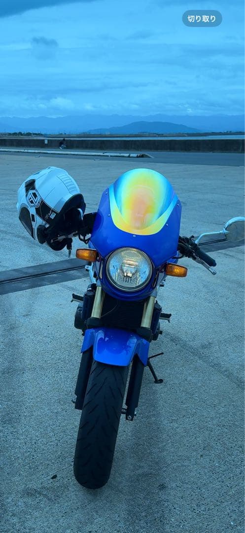 希少 ホーネット FORCE-Dエンデュランスバージョン ビキニカウル