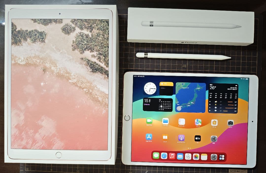 【付属品多数】iPad Pro 10.5 WIFiモデル+ApplePencil