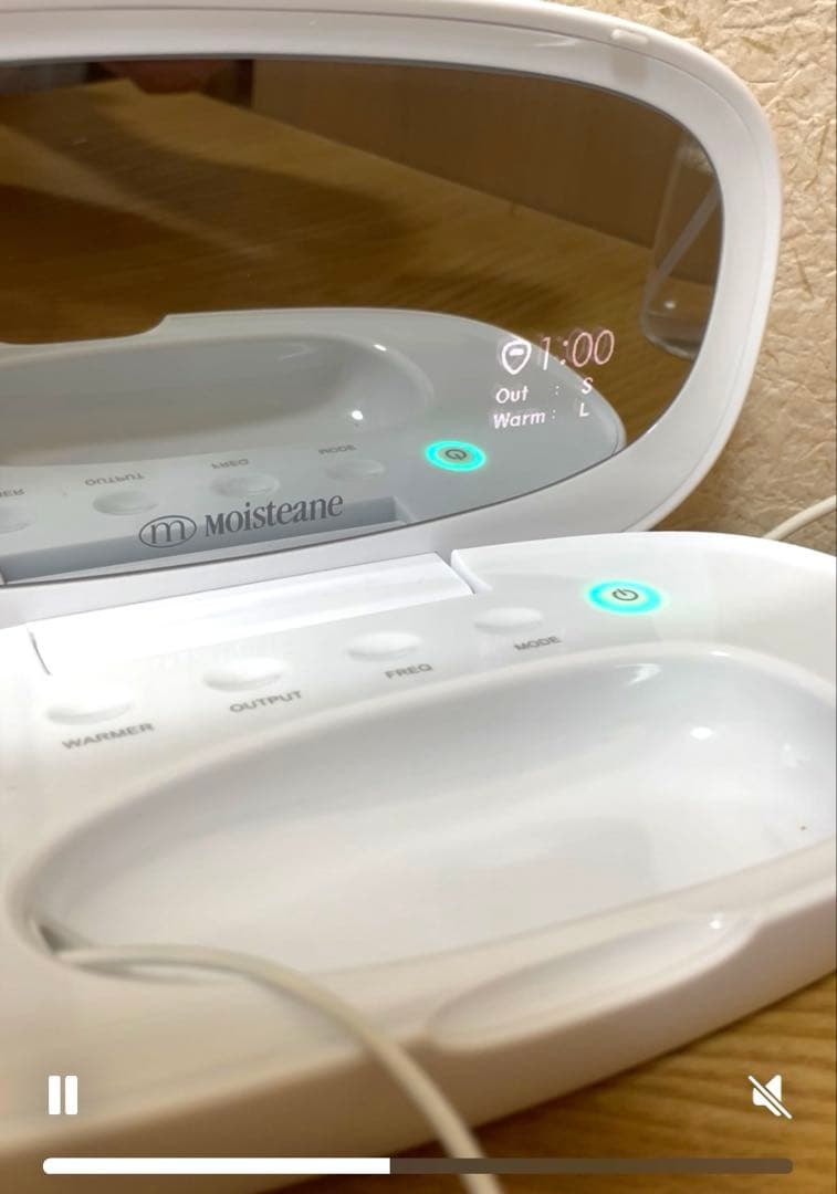 モイスティーヌ美顔器