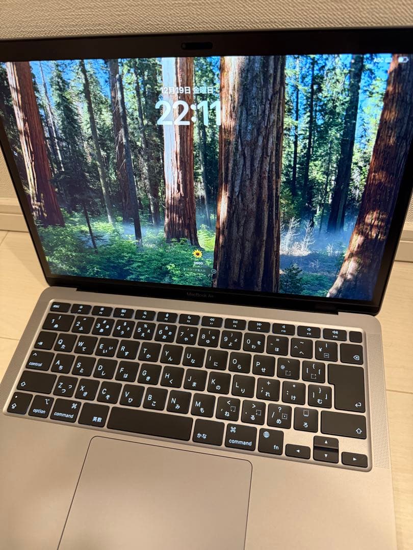 Apple MacBook Air (M1, 2020) 美品 8G/256GB