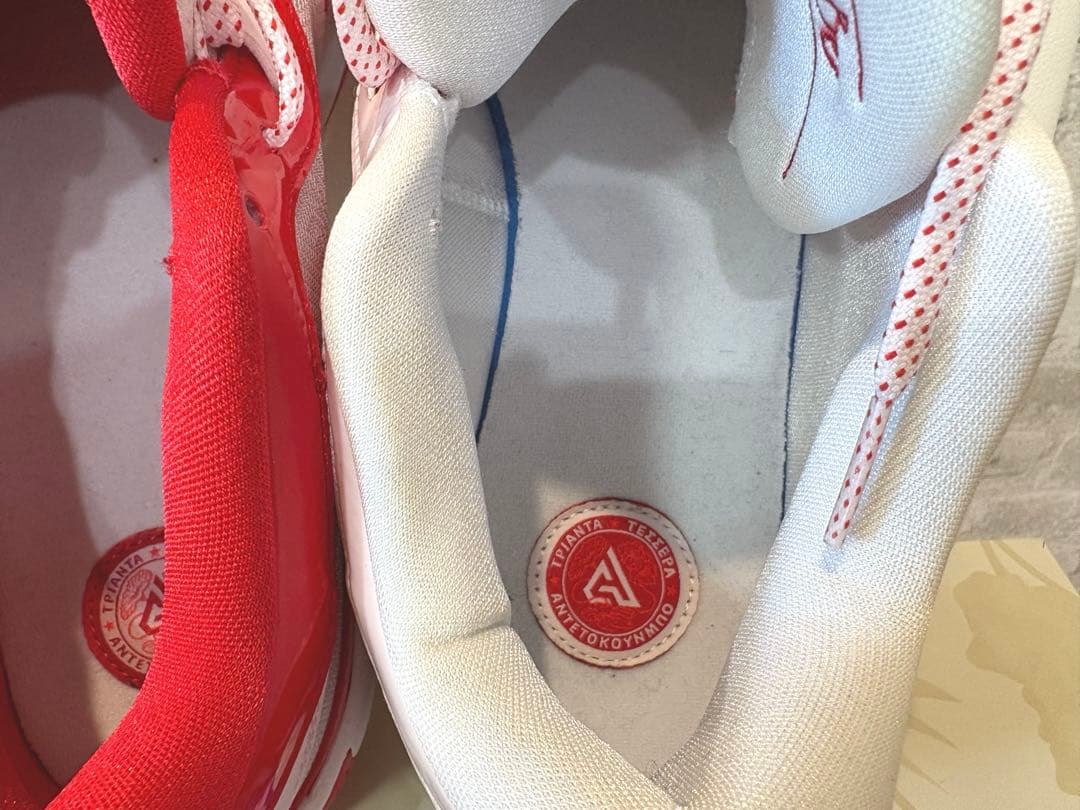 ◆限定・極美品◆Nike Zoom Freak 5 ASW EPバスケットボール