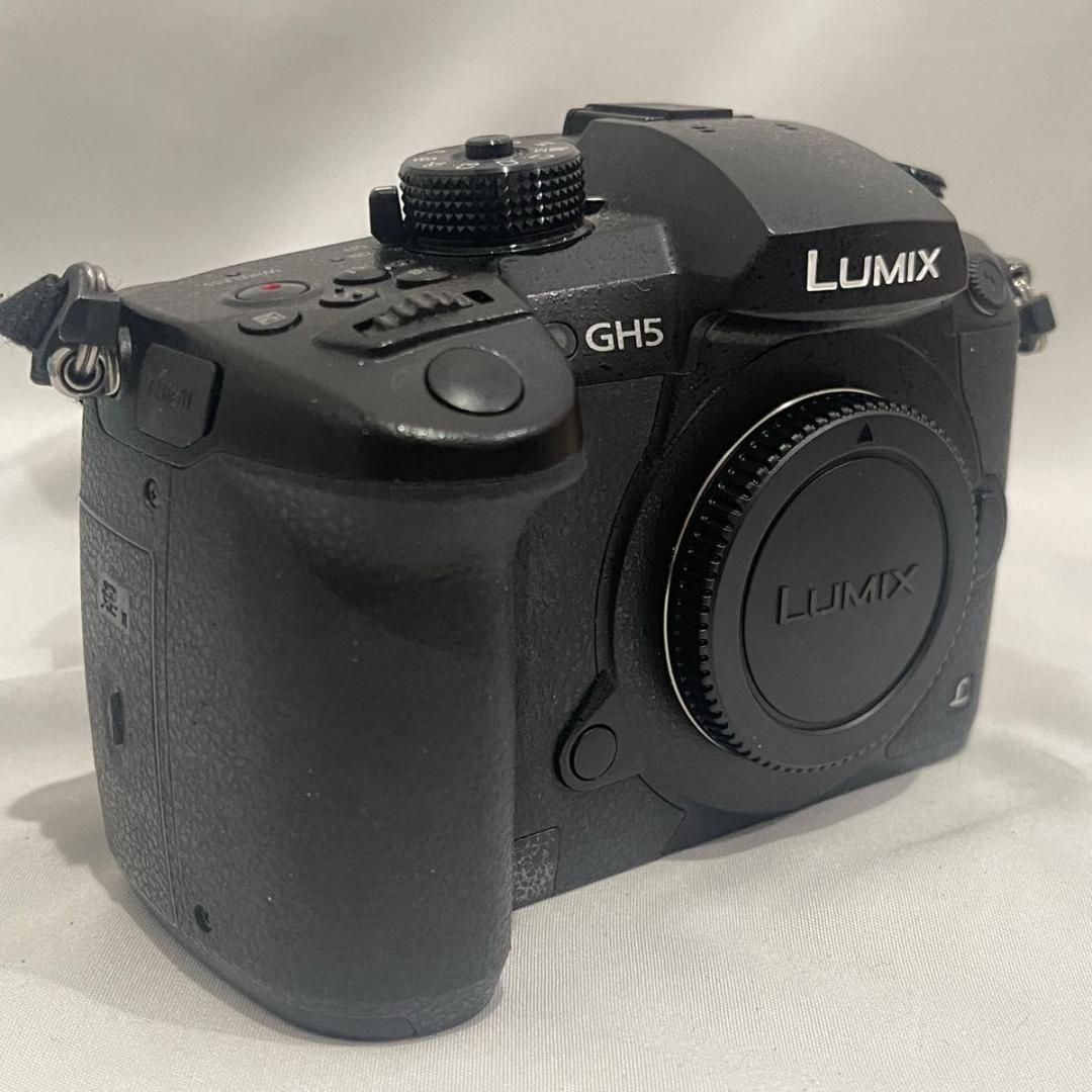 Panasonic LUMIX DC-GH5 デジタルカメラ ボディ 4K対応
