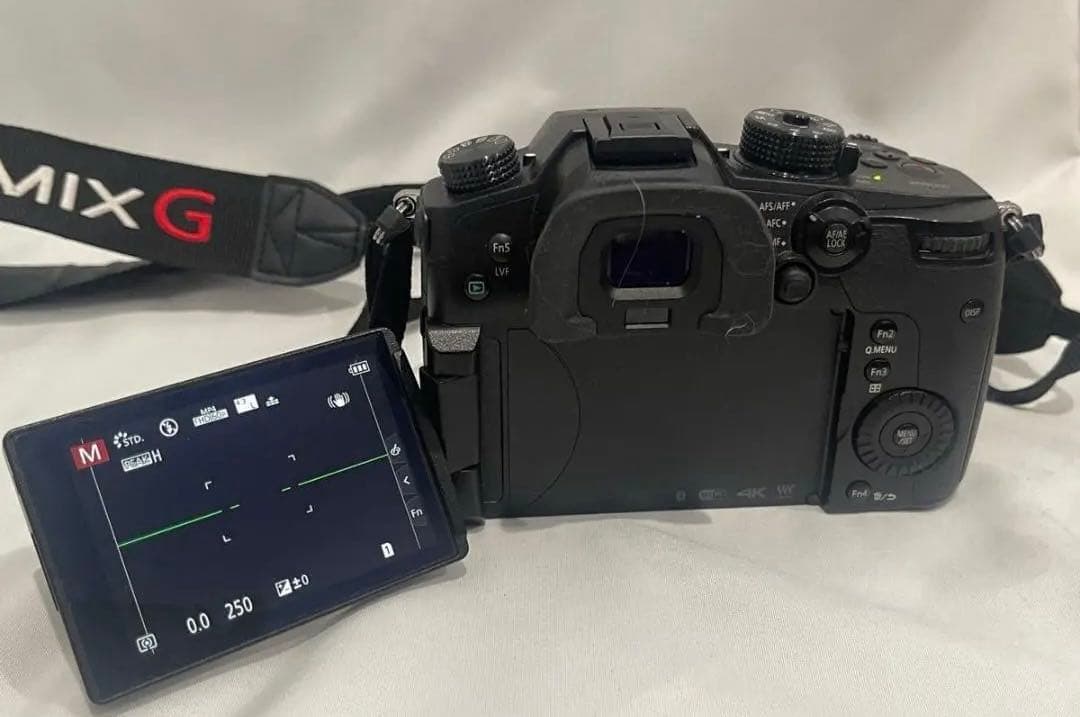 Panasonic LUMIX DC-GH5 デジタルカメラ ボディ 4K対応