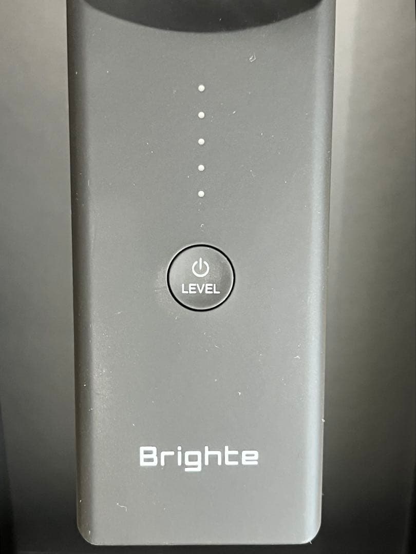 Brighte スカルプブラシ USBケーブル付