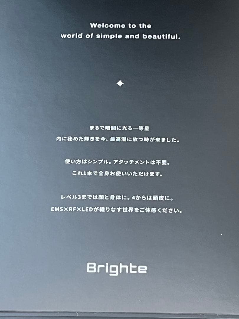 Brighte スカルプブラシ USBケーブル付
