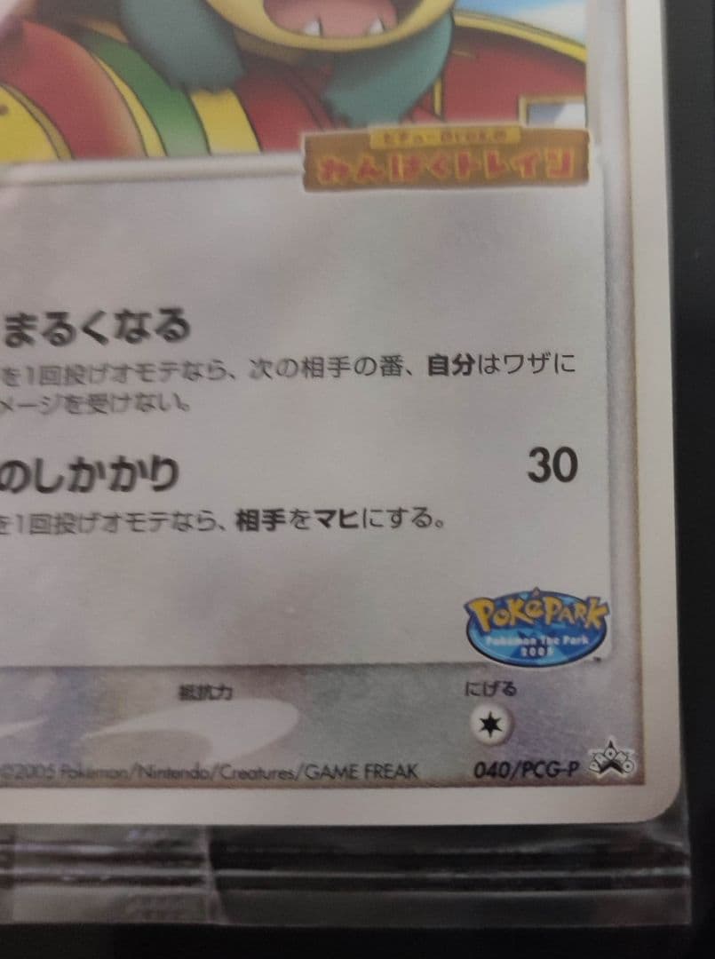 ポケパークのゴンベ 　未開封