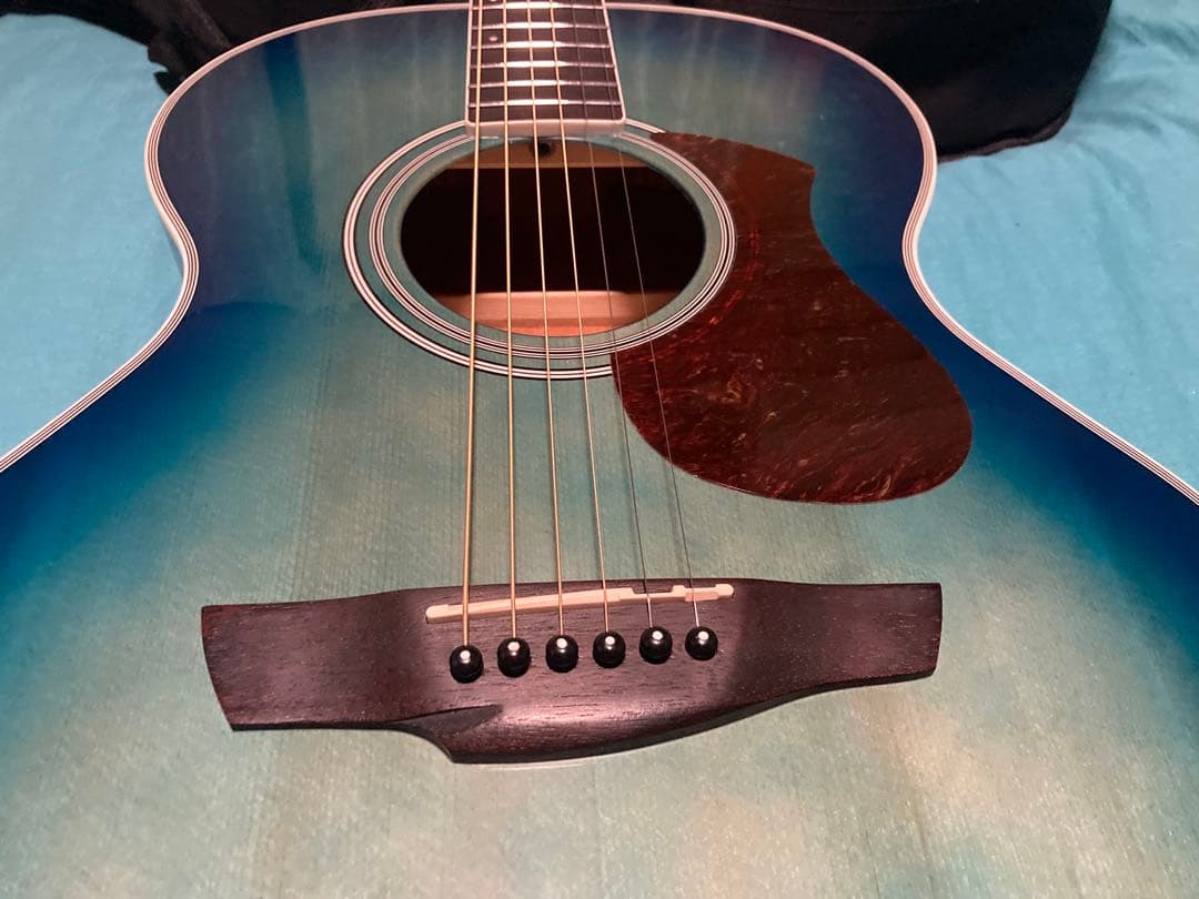 James J-300A/EBU ジェームスギター