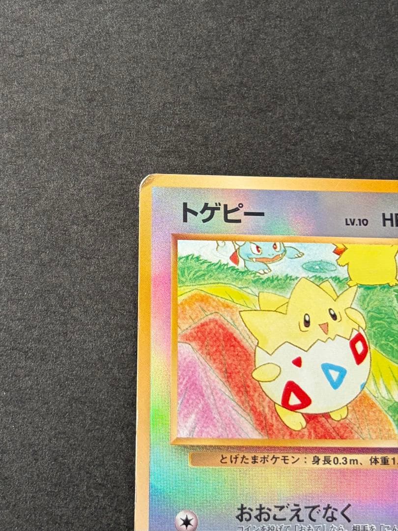 キャタおトゲピー まとめ買い