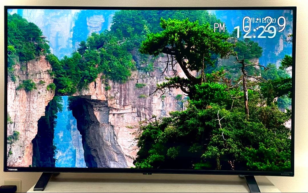 TOSHIBA REGZA 43C350X 4K液晶テレビ