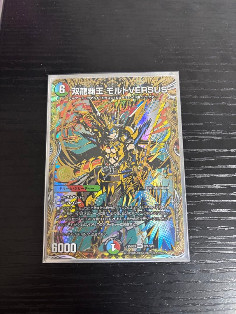 双龍覇王 モルトVERSUS