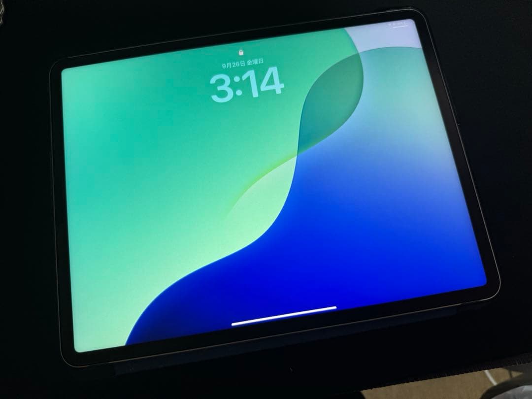 Apple iPad Pro 12.9インチ 第5世代 Wi-Fiモデル