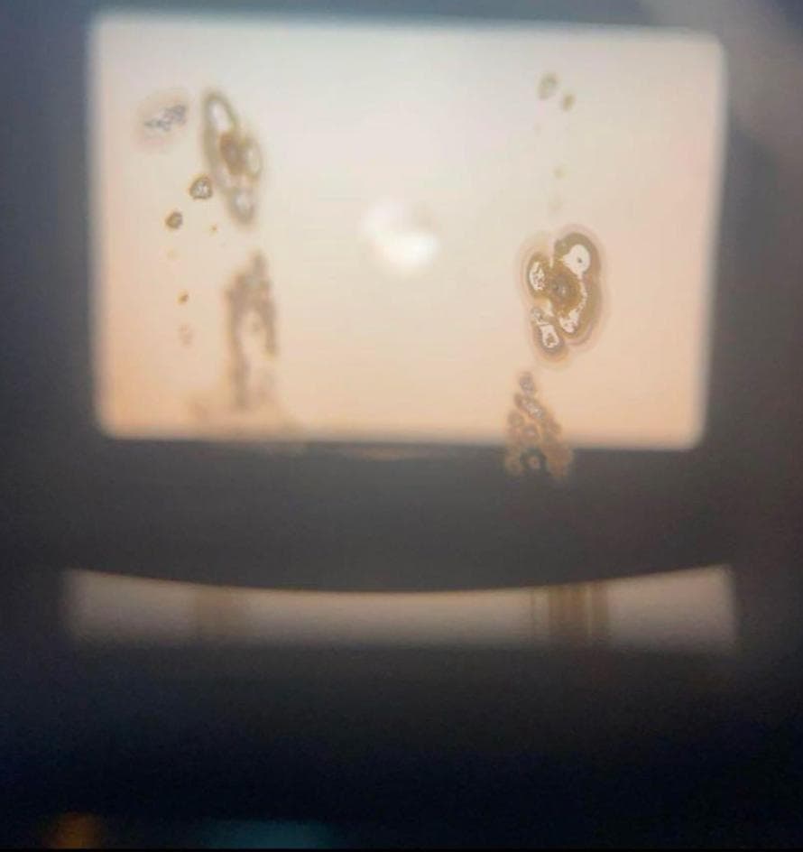 【動作品】 Olympus om-2n + ワインダー2+ 50mm f1.4