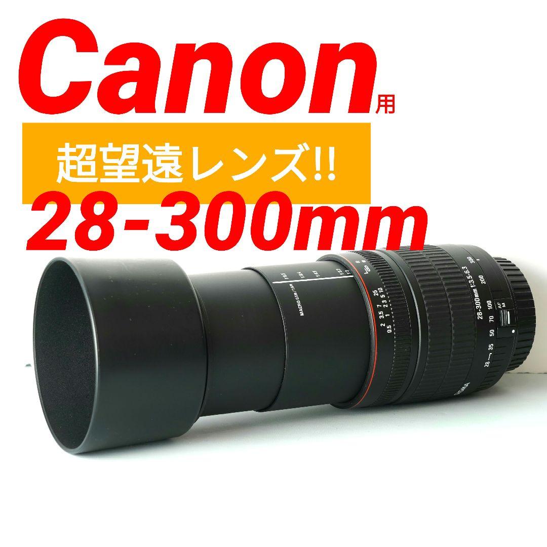 ⭐️実用品⭐️SIGMA シグマ 28-300mm MACRO キヤノン用