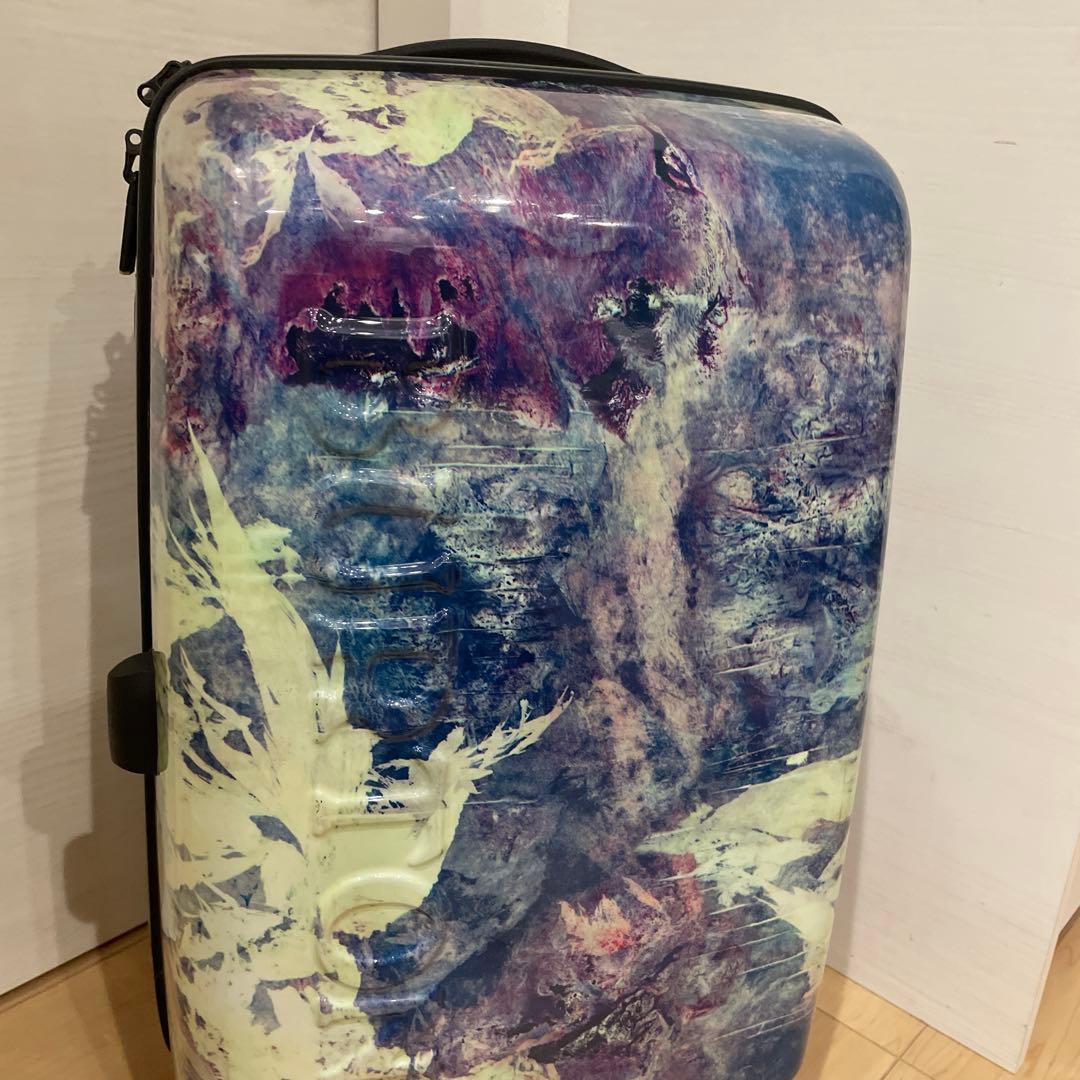 Burton バートン キャリーバッグ ケース スーツ トロリー ラゲッジ