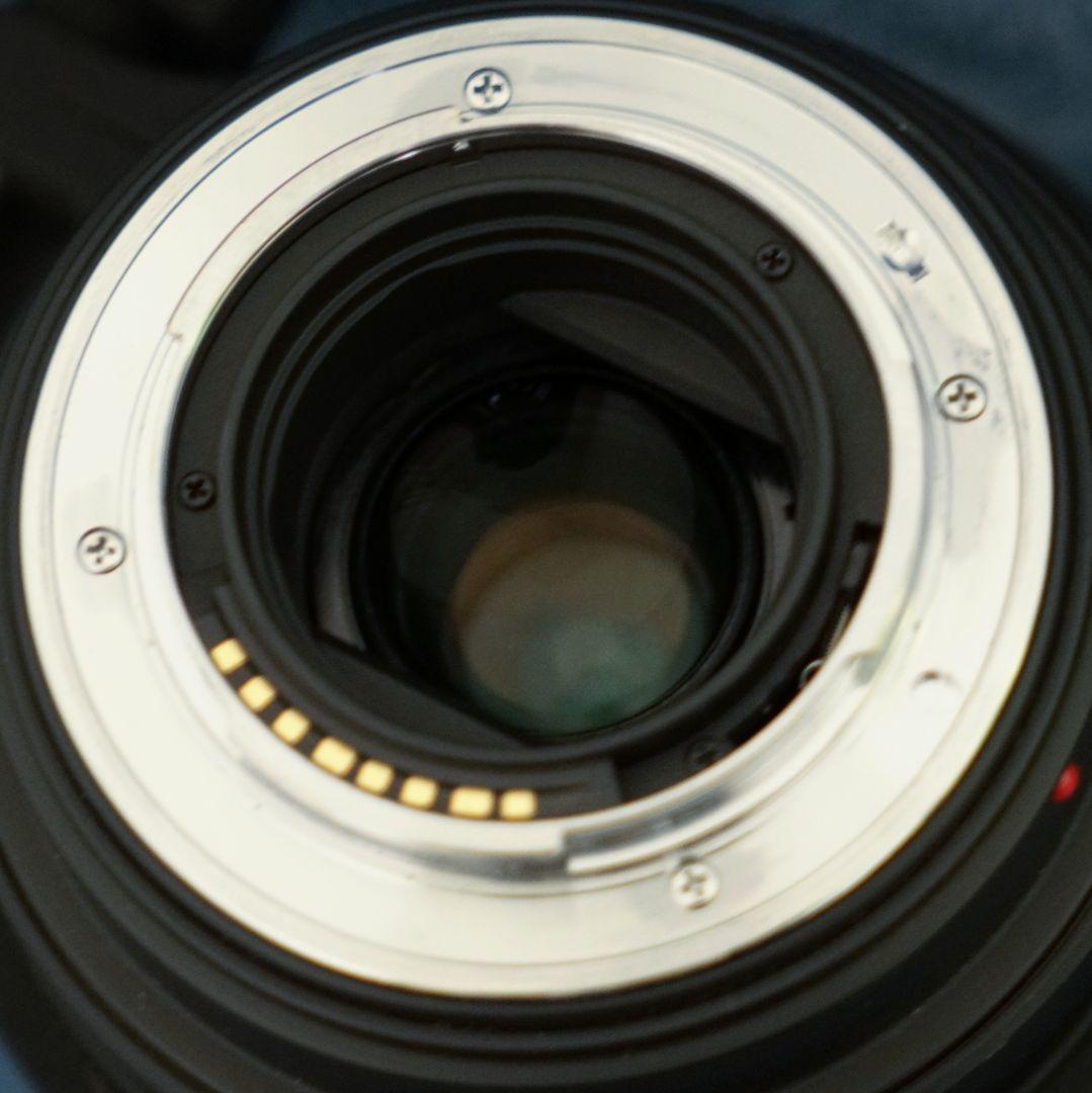 APO 50–500mm F4.5–6.3 DG OS HSM ソニー用