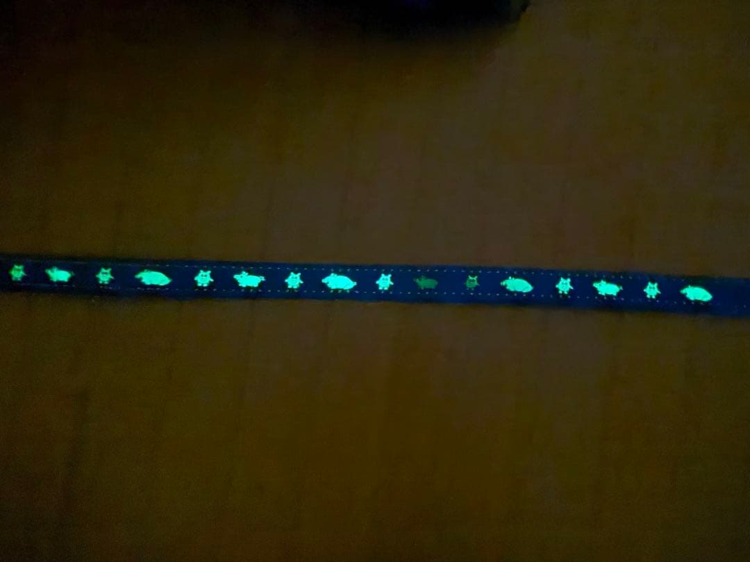 ぼ*じ様 LOOSEY FRANKY VILLANI GLOW IN THE D