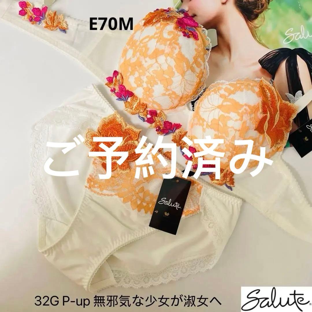 ワコール サルート 32G P-upタイプ 無邪気な少女が淑女へE70-M