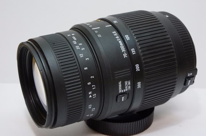 大望遠 ■ SIGMA DG 70-300mm F4-5.6 マクロ