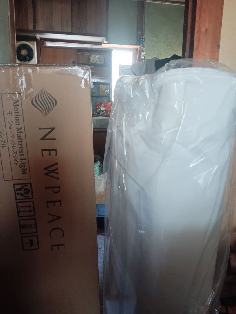 NEWPEACE モーションマットレスライト