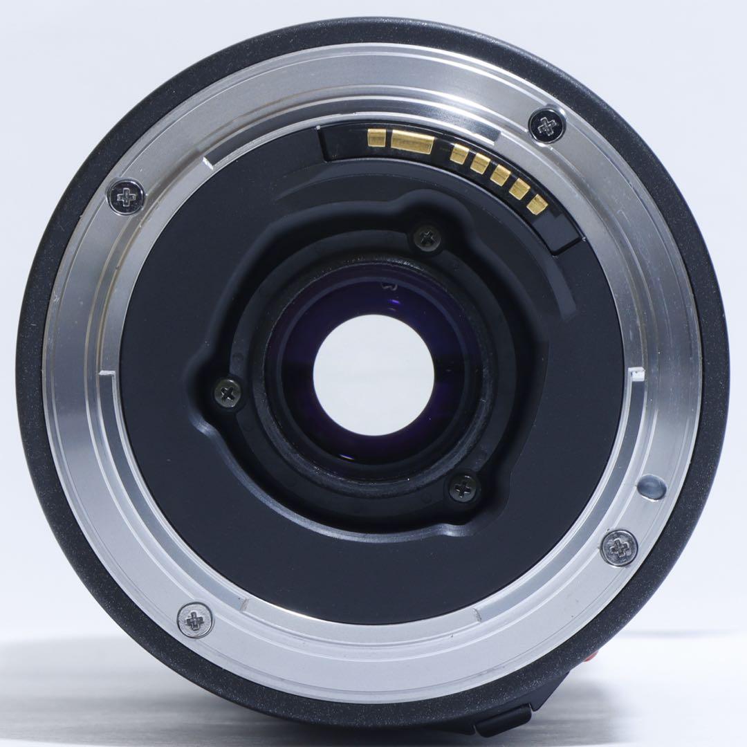 ◇大迫力300mm超望遠◇TAMRON 100-300mm for Canon