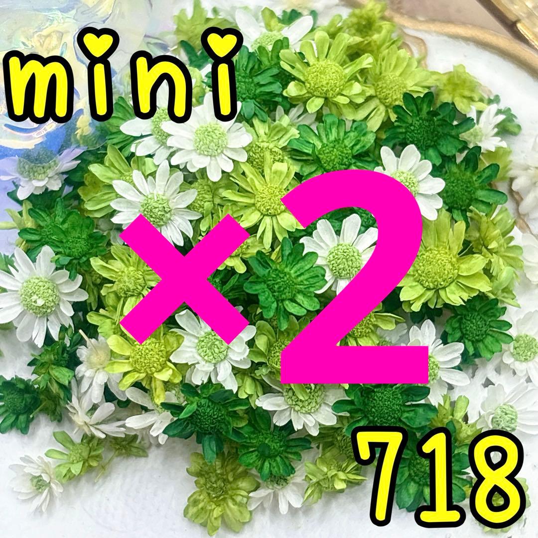 専用ページ✩.*˚