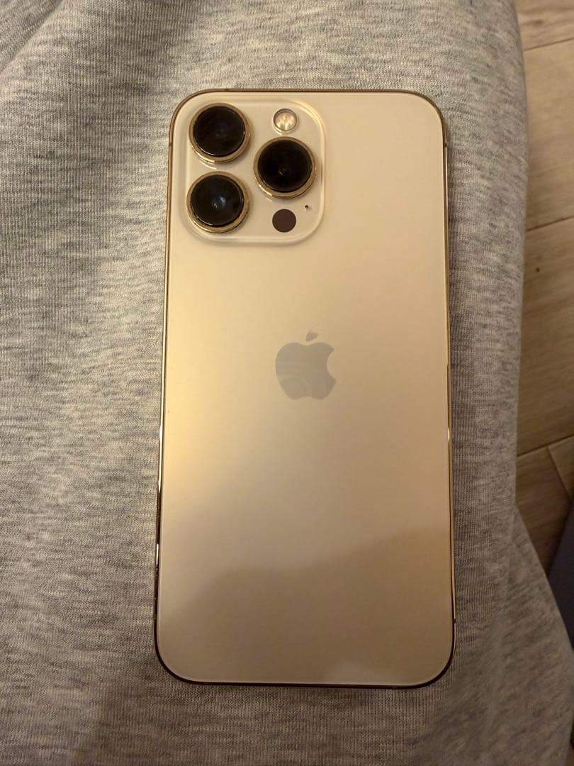 【ジャンク品】 iPhone13Pro