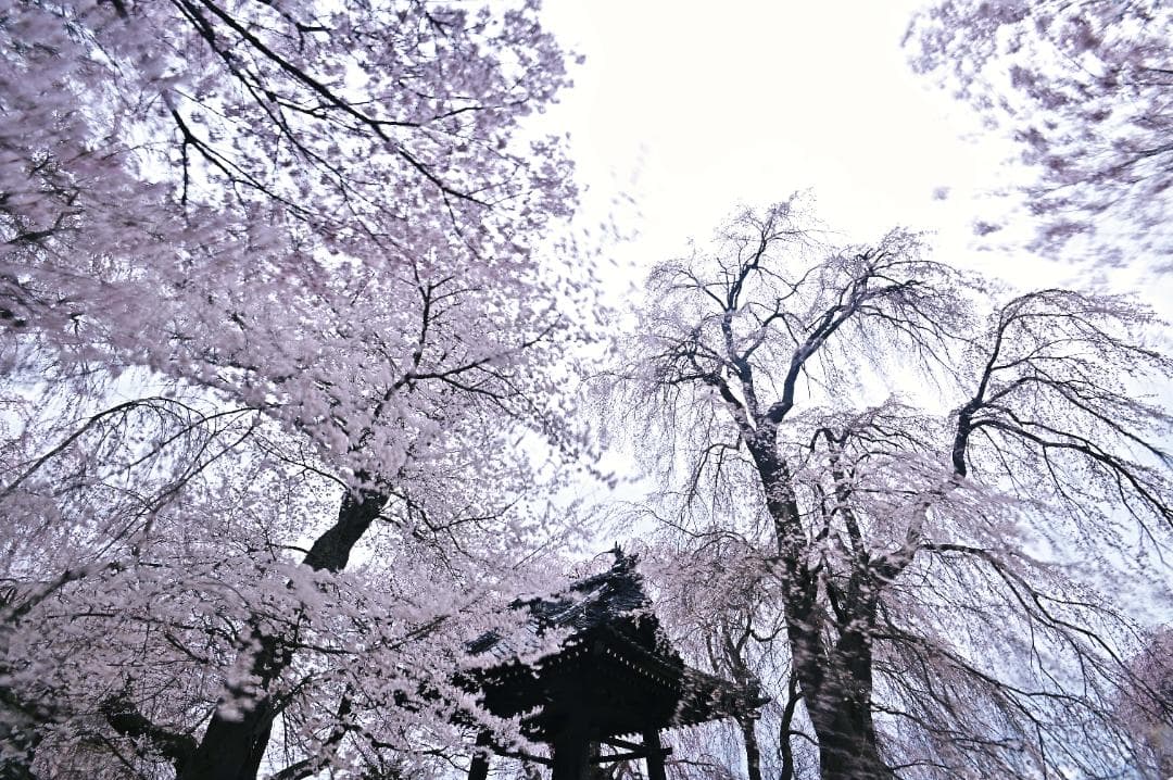 Nikon AF-S NIKKOR 16-35mm F4 VRレンズ