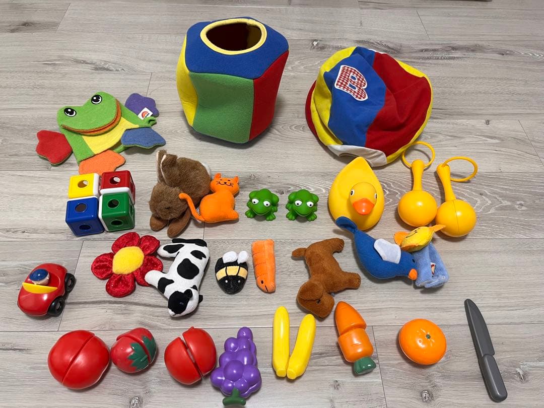 DWE Play Along! 正規品